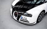 Bugatti Veyron 16.4 Linea Vivere by Mansory 2014 года